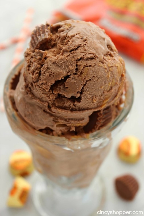 No-Churn-Reeses-Peanut-Butter-Ice-Cream-3